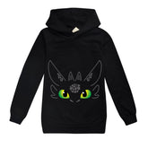 How to Train Your Dragon Casual Sweatshirt Spring Autumn Hoodie for Kids
