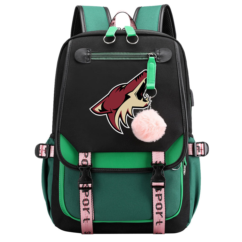 Arizona Coyotes Hockey League Waterproof Backpack School Notebook Travel Bag USB Charging