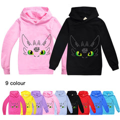 How to Train Your Dragon Casual Sweatshirt  Spring Autumn Hoodie for Kids